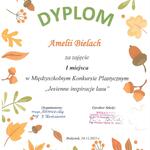 Dyplom.6.jpg