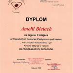 Dyplom.13.jpg
