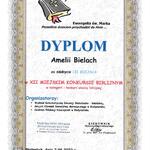 Dyplom.18.jpg