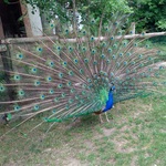 20240603_130525.jpg