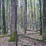 IMG_20241007_092859354.jpg