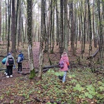 IMG_20241007_095720144.jpg