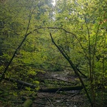 IMG_20241007_103053990_HDR.jpg