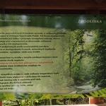 IMG_20241007_103049060.jpg